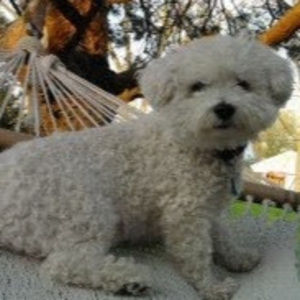 Meet your Posher, Lorena